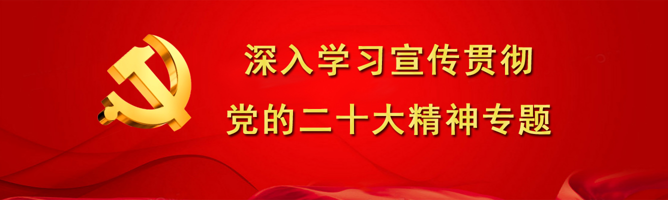 学习宣传贯彻二十大精神