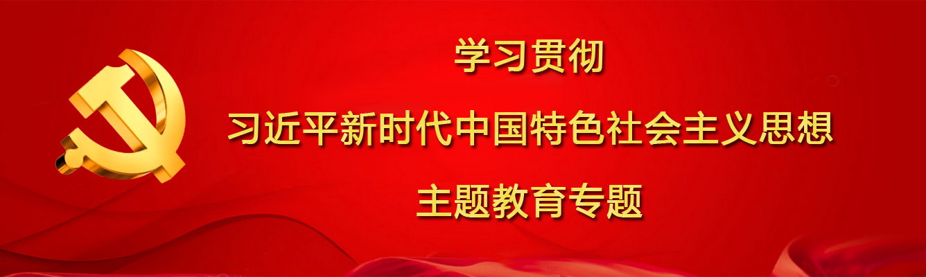 习近平新时代主题教育